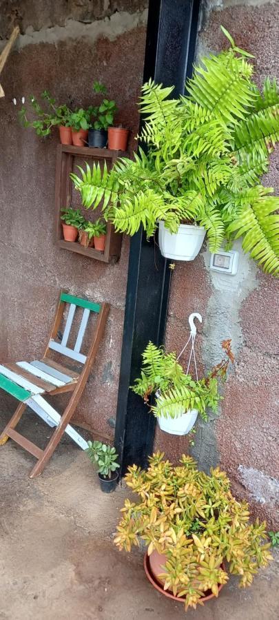 サンタ・クルス・デ・ラ・パルマ スペイン Casa Nieves De Marioヴィラ エクステリア 写真